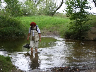 Durch das Flüsschen Ilse bei Veckenstedt