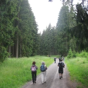Path between Königshütte and Rappbode Forebay