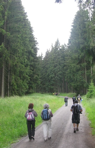 Path between Königshütte and Rappbode Forebay