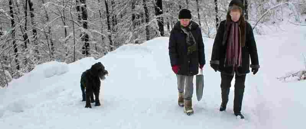 Winterwandern in Bad Grund