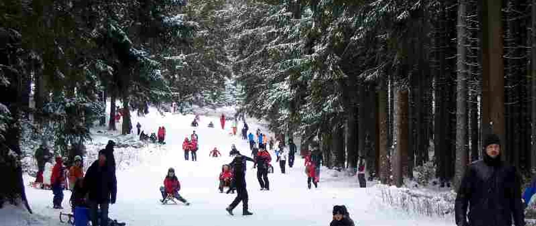 Rodelbahn am Wurmberg