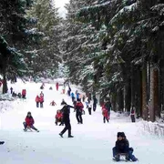 Rodelbahn am Wurmberg