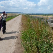 Medieval wayside cross in front of Rüxleben