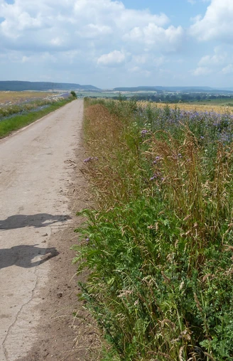 Medieval wayside cross in front of Rüxleben