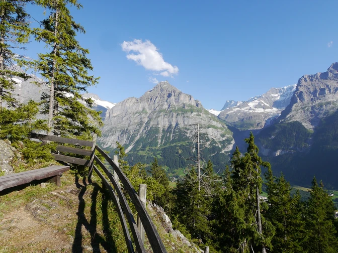 Das Wetterhorn lässt sich hinter den Bäumen erahnen.