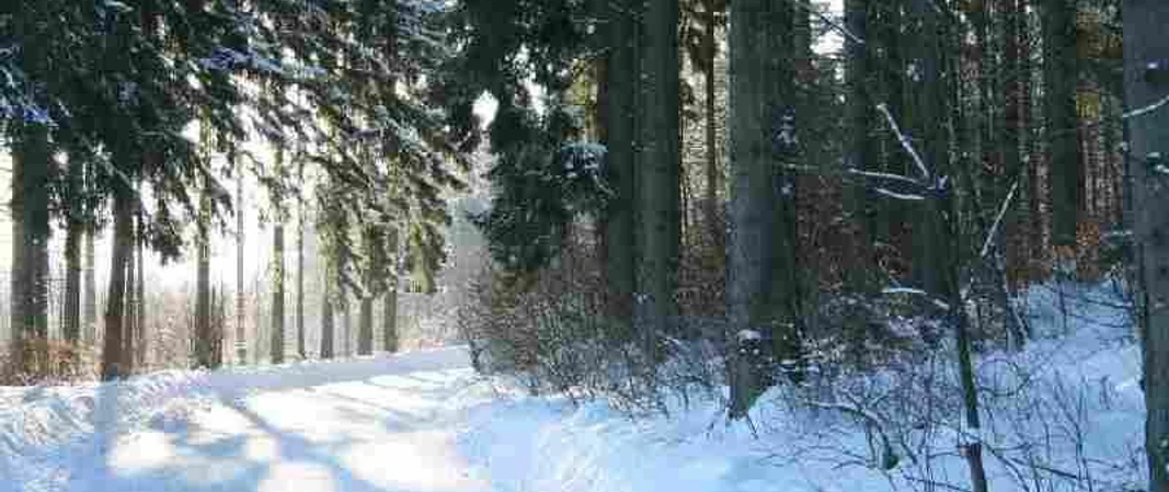 Winterwandern