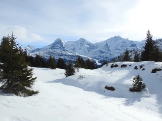 Eiger, Mönch et Jungfrau toujours en face