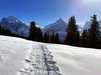 Sehr schöner Teil vom Trail!