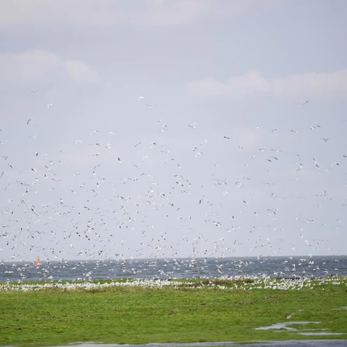 Nordseebad Otterndorf - Cuxland