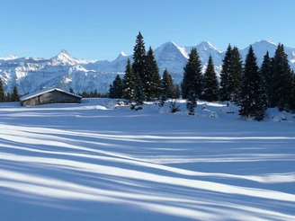 Chüematte