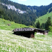 Das Rischerntal im Frühling