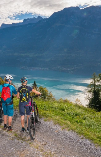 Atemberaubendes Panorama über den Brienzersee
