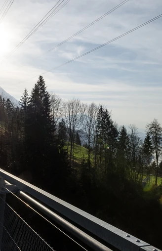 View of lake and mountains suspension bridge Leissigen