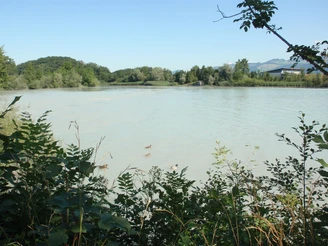 Stausee Spiez