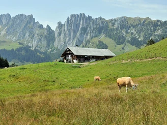 Jaunpass, ©Lenk-Simmental Tourismus