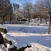 Winter in Elbingerode