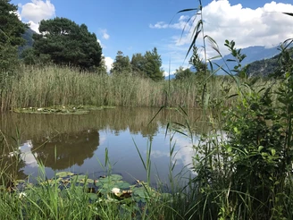 Wasserau Naturschutzgebiet