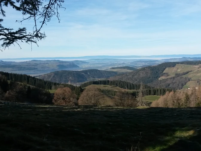 Mittelland