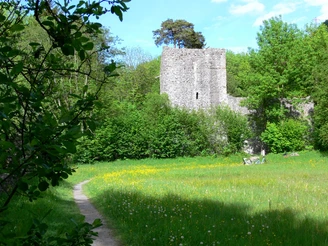 Ruine Weissenau