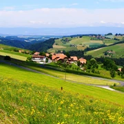 welliges Gelände beir Vorderfultigen