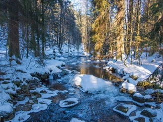 Elendstal zwischen Elend und Schierke