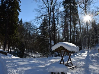 Elendstal Richtung Schierke