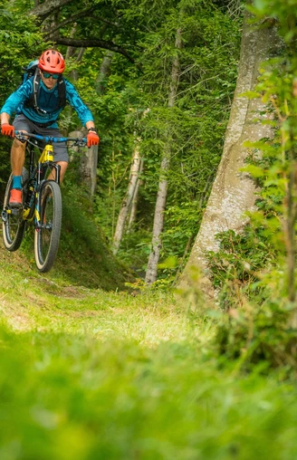 Rasante Abfahrten durch grüne Landschaften