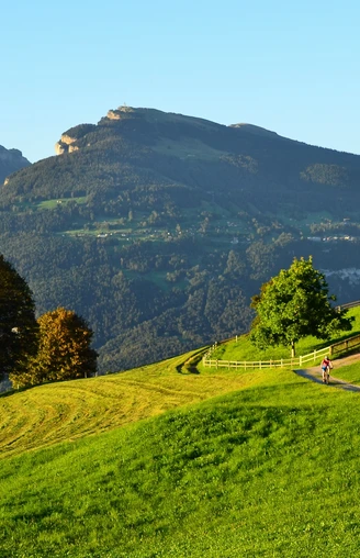 Saftige Wiesen und herrlicher Ausblick