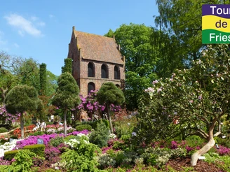 Auf der Rhodo in Westerstede