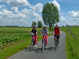 Cyclists at the Jümmedeich