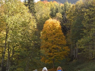 Auf dem alten Talweg geht es bergab