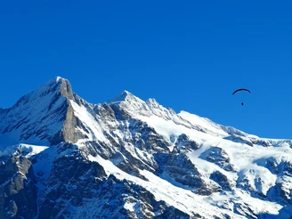 Paragliders over Grindelwald.