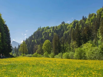 Blick ab Dorf Oey auf Schwarzenberg