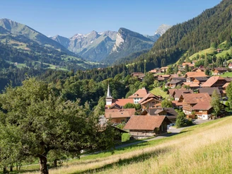 Vue sur le village de Diemtigen