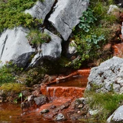 Fascination de la source ferrugineuse
