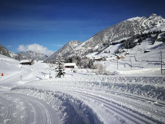 Blick auf Winterwanderweg und Loipe