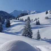 Winterliche Landschaft auf Alp Ottenschwand