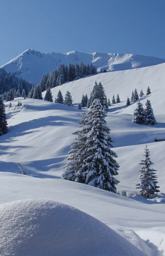 Paysage hivernal sur l'alpage d'Ottenschwand