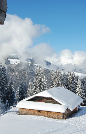 Blick ab Ottenschwand