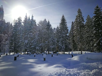 Verschneites Winterwunderland im Anger