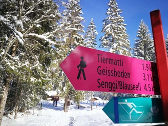 Signalisation von Loipe und Winterwanderwegen