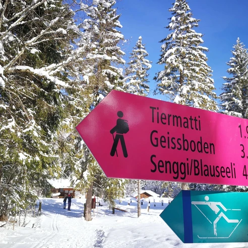 Signage for cross-country ski trails and winter hiking paths
