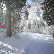 Abwechslungsreiche Wiriehorn Loipe