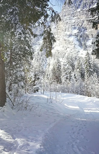 Abwechslungsreiche Wiriehorn Loipe