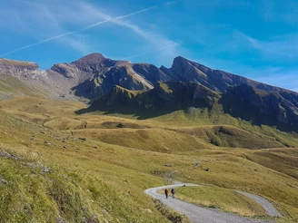 Schwarzhorn vom Distelboden aus gesehen