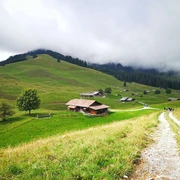 Alp Tschuggen vom Nebel umgeben