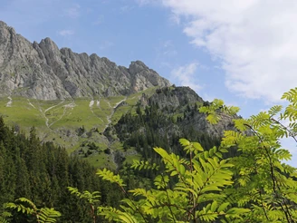 Blick ab Alpetli