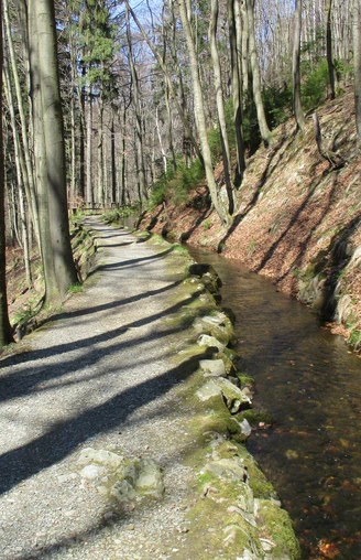Trail an der Radau