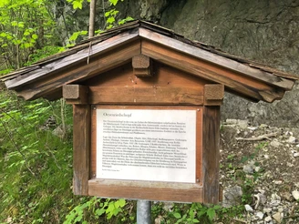 Geschichte des Eyeriedschopfs