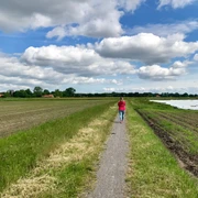 Spaziergängerin auf dem Linsweger Esch
